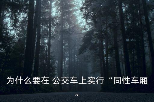 公交車(chē)性