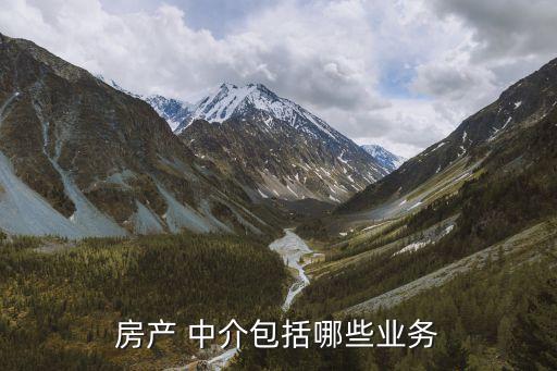 房產(chǎn) 中介包括哪些業(yè)務(wù)