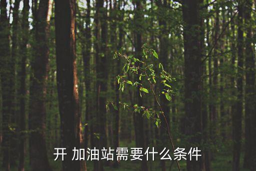 開 加油站需要什么條件