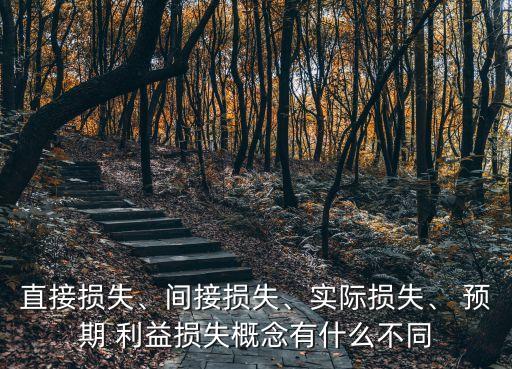 預期利益,侵權是否賠償預期利益