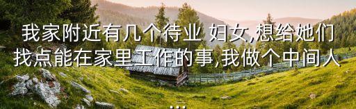 我家附近有幾個待業(yè) 婦女,想給她們找點能在家里工作的事,我做個中間人...