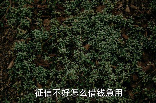 征信不好怎么借錢急用