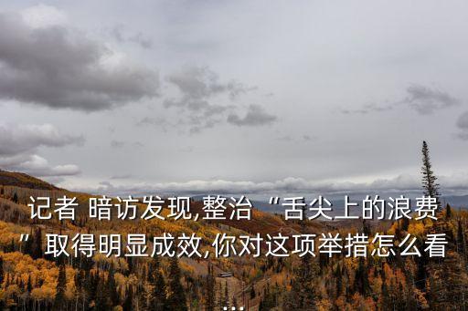 記者暗訪