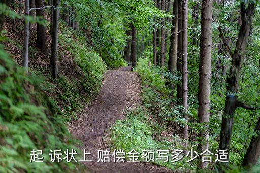 起 訴狀上 賠償金額寫多少合適