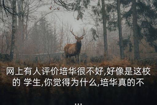 網(wǎng)上有人評價(jià)培華很不好,好像是這校的 學(xué)生,你覺得為什么,培華真的不...