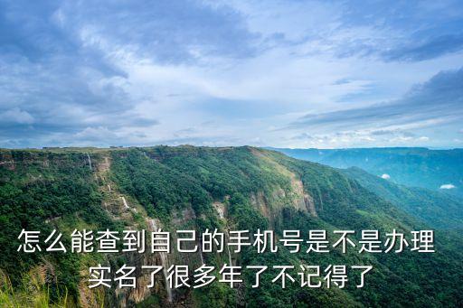 怎么能查到自己的手機號是不是辦理 實名了很多年了不記得了
