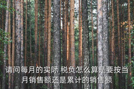 實(shí)際稅負(fù),增值稅實(shí)際稅負(fù)