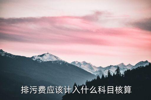  排污費應該計入什么科目核算
