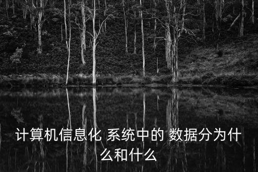 計(jì)算機(jī)信息化 系統(tǒng)中的 數(shù)據(jù)分為什么和什么