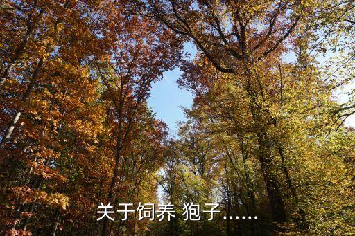關(guān)于飼養(yǎng) 狍子……