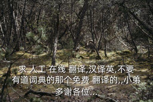 人工在線翻譯,英語人工翻譯在線