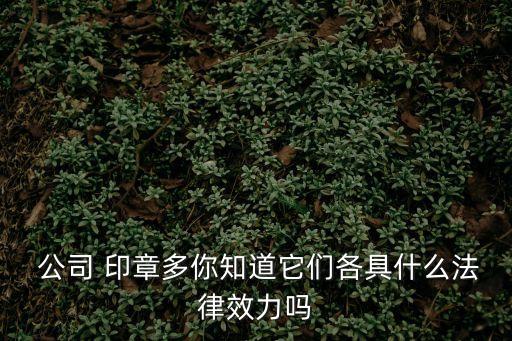 印章公司,武侯區(qū)印章公司