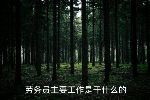  勞務(wù)員主要工作是干什么的
