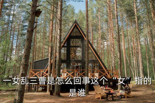 曹智
