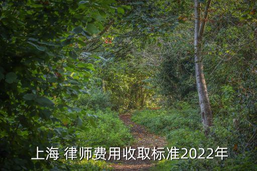  上海 律師費(fèi)用收取標(biāo)準(zhǔn)2022年