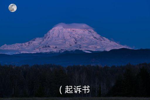 免費(fèi)起訴書電子版下載word,離婚起訴書2021電子版