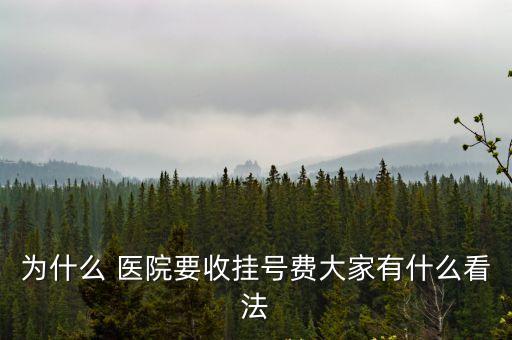 為什么 醫(yī)院要收掛號費大家有什么看法
