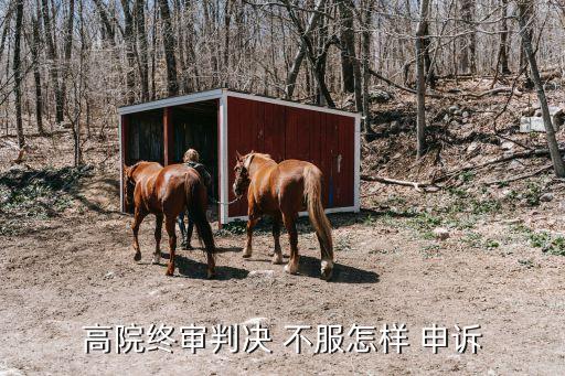 對裁定書不服如何申訴,對高院申訴做出的裁定書不服