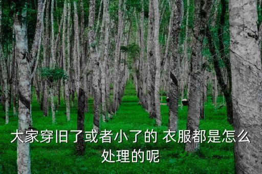 舊衣服翻新,曼天雨是不是舊衣服翻新