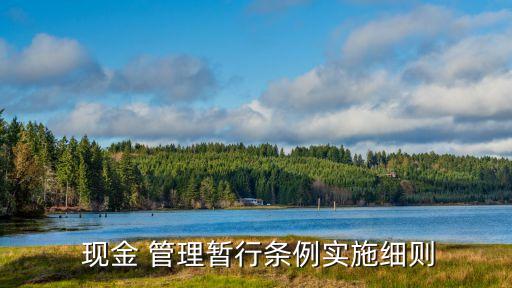  現(xiàn)金 管理暫行條例實(shí)施細(xì)則
