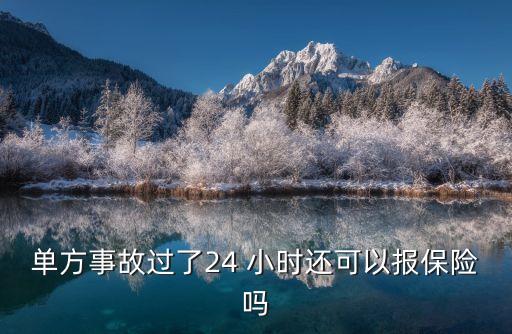 單方事故過了24 小時還可以報保險嗎