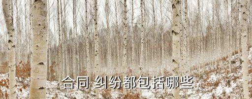 關(guān)于合同糾紛,民法典里關(guān)于合同糾紛