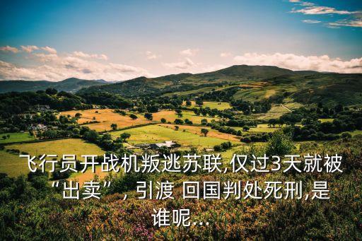 飛行員開戰(zhàn)機(jī)叛逃蘇聯(lián),僅過3天就被“出賣”, 引渡 回國(guó)判處死刑,是誰呢...