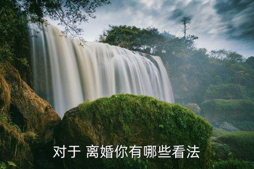 離婚議嫁