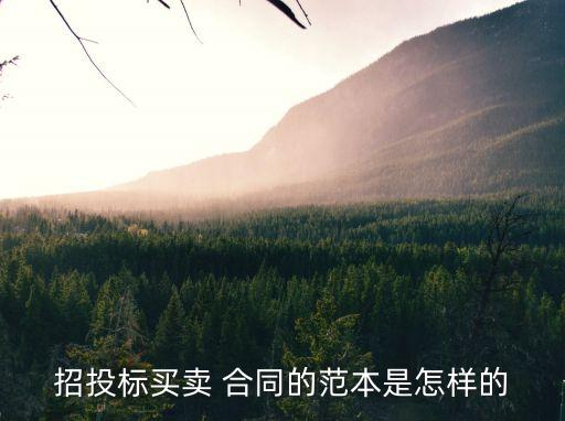 招標(biāo)合同