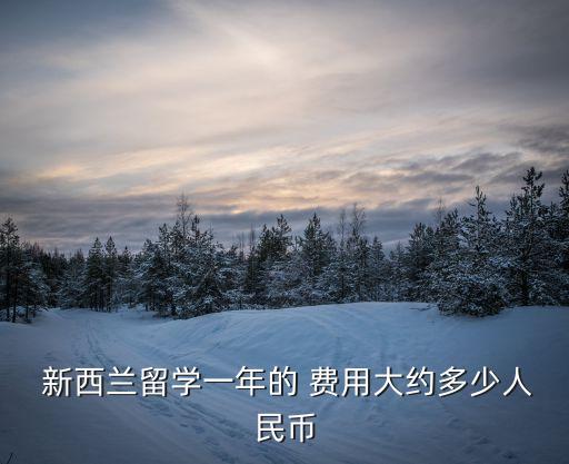 新西蘭出國(guó)費(fèi)用,國(guó)外留學(xué)需要什么條件資金和學(xué)歷
