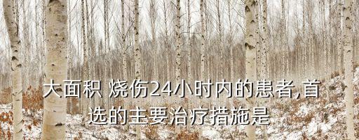  大面積 燒傷24小時內(nèi)的患者,首選的主要治療措施是