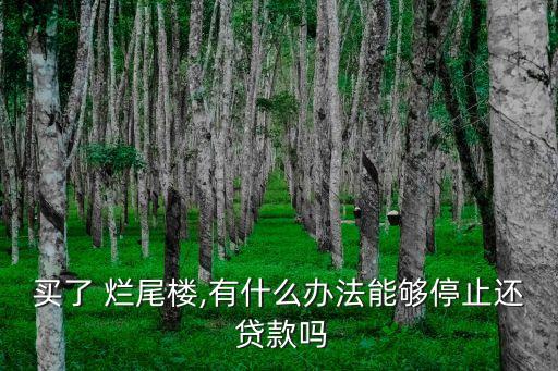 買了 爛尾樓,有什么辦法能夠停止還 貸款嗎