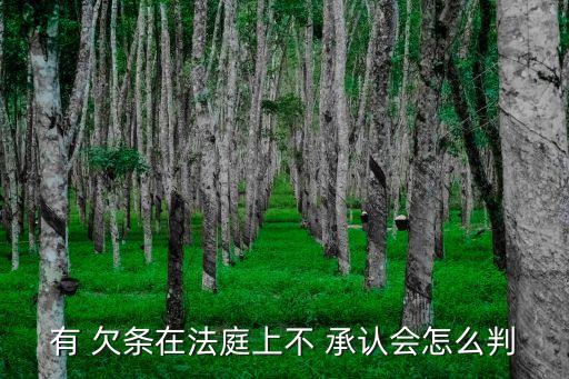 有 欠條在法庭上不 承認(rèn)會(huì)怎么判