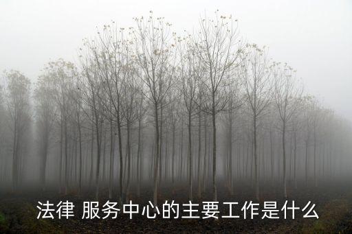  法律 服務(wù)中心的主要工作是什么