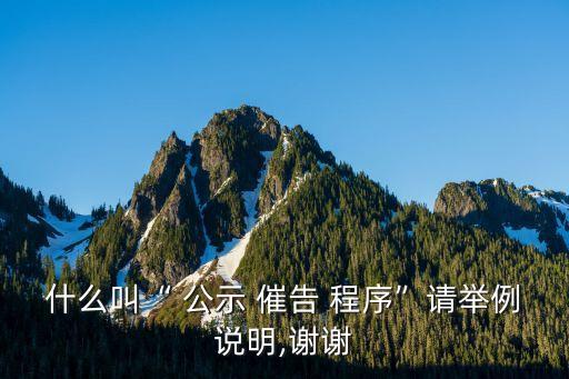公示催告程序