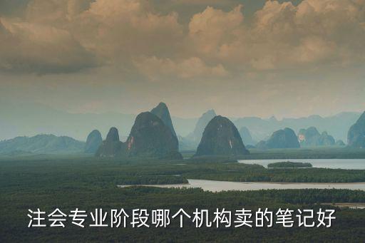 注會專業(yè)階段哪個(gè)機(jī)構(gòu)賣的筆記好