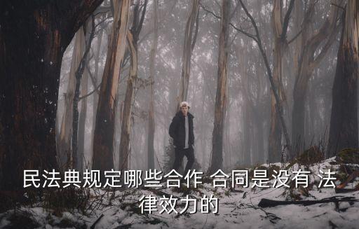 什么樣的合同沒(méi)有法律效率