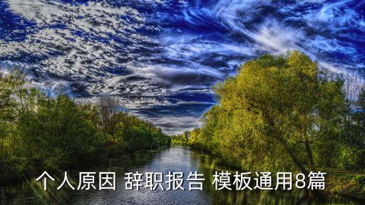 個(gè)人原因 辭職報(bào)告 模板通用8篇