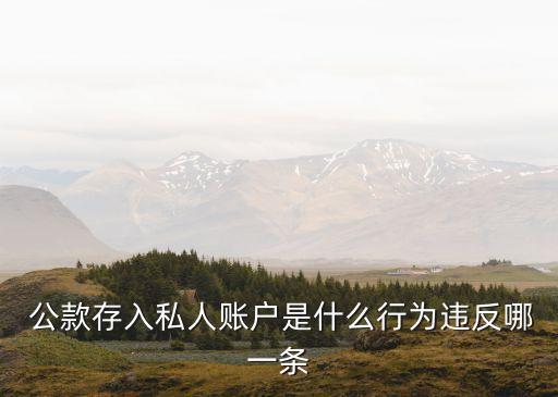  公款存入私人賬戶是什么行為違反哪一條
