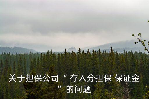 關于擔保公司“ 存入分擔保 保證金”的問題