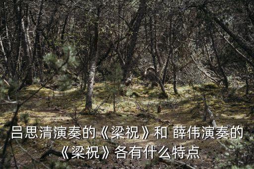 呂思清演奏的《梁?！泛?薛偉演奏的《梁?！犯饔惺裁刺攸c