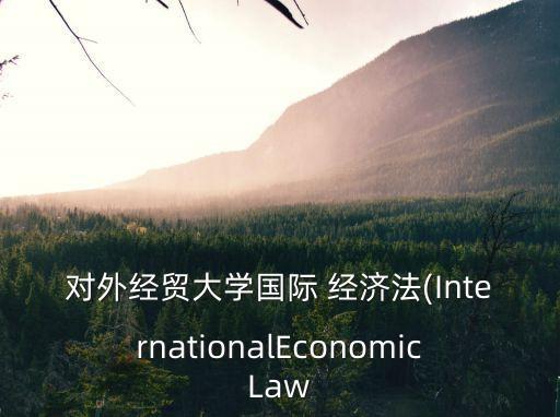 國際經(jīng)濟(jì)法英文名詞解釋重點(diǎn),跨國公司名詞解釋 國際經(jīng)濟(jì)法