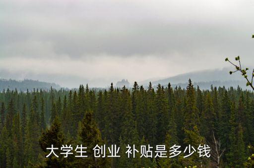  大學(xué)生 創(chuàng)業(yè) 補貼是多少錢