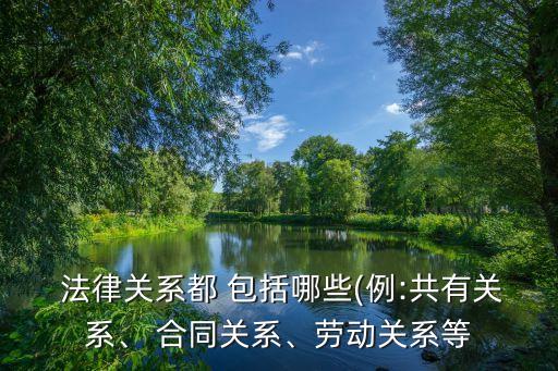  法律關(guān)系都 包括哪些(例:共有關(guān)系、 合同關(guān)系、勞動(dòng)關(guān)系等