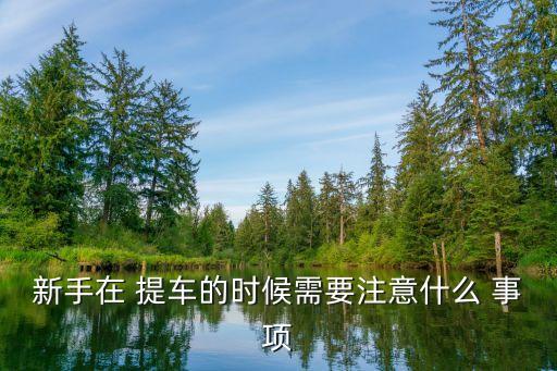 新手在 提車的時(shí)候需要注意什么 事項(xiàng)