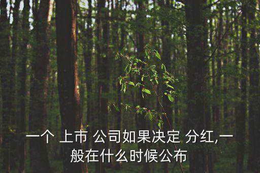 一個(gè) 上市 公司如果決定 分紅,一般在什么時(shí)候公布