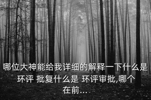 哪位大神能給我詳細的解釋一下什么是 環(huán)評 批復(fù)什么是 環(huán)評審批,哪個在前...