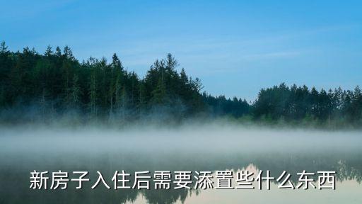 新房子
