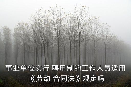 事業(yè)單位實(shí)行 聘用制的工作人員適用《勞動(dòng) 合同法》規(guī)定嗎