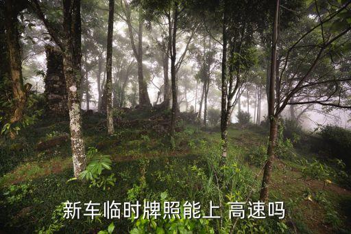 新車臨時牌照能上 高速嗎